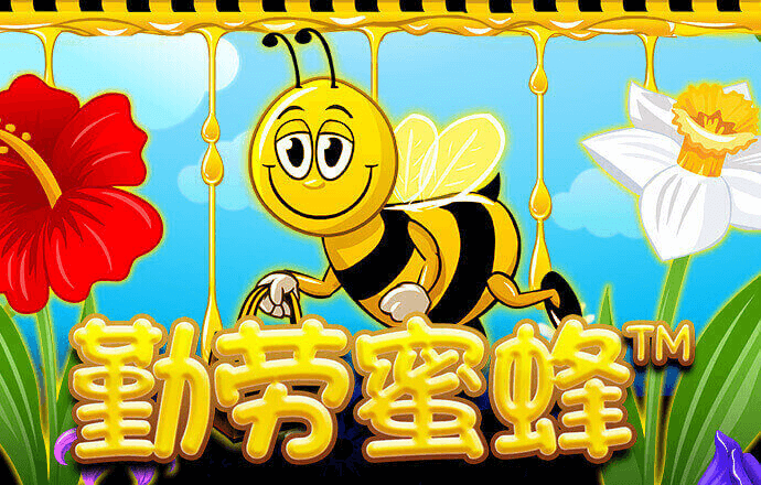 73882必赢网页版